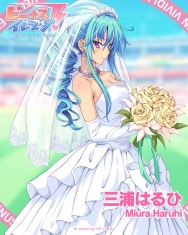 本日のビーナス